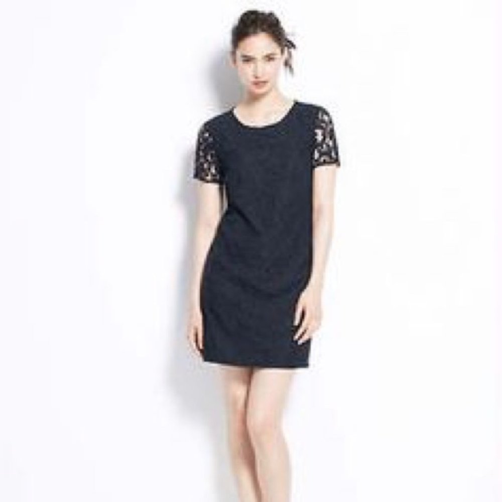 Ann Taylor Navy Blue Lace Dress